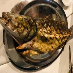 images/piata/psiart-piata (46).jpg